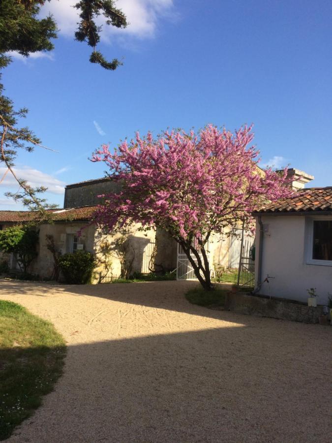 Le Logis Du Plessis Bed and Breakfast Chaniers Εξωτερικό φωτογραφία